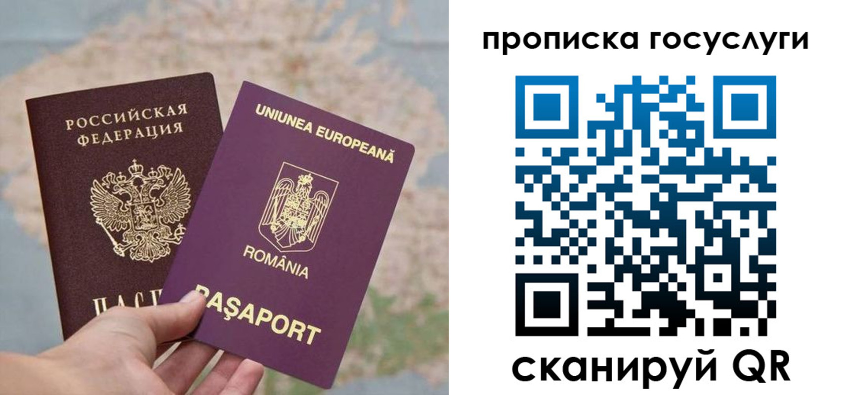 пропишу в квартире в Бологом